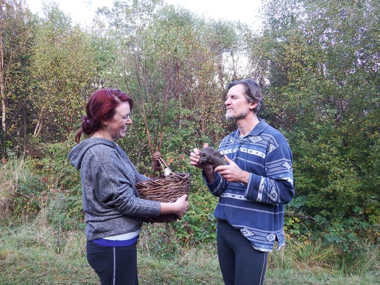 Wild Atlantic Way Matchmaking festival's 'Big Day Out' 2014