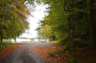 View of forest path and Lough MacNean Leitrim